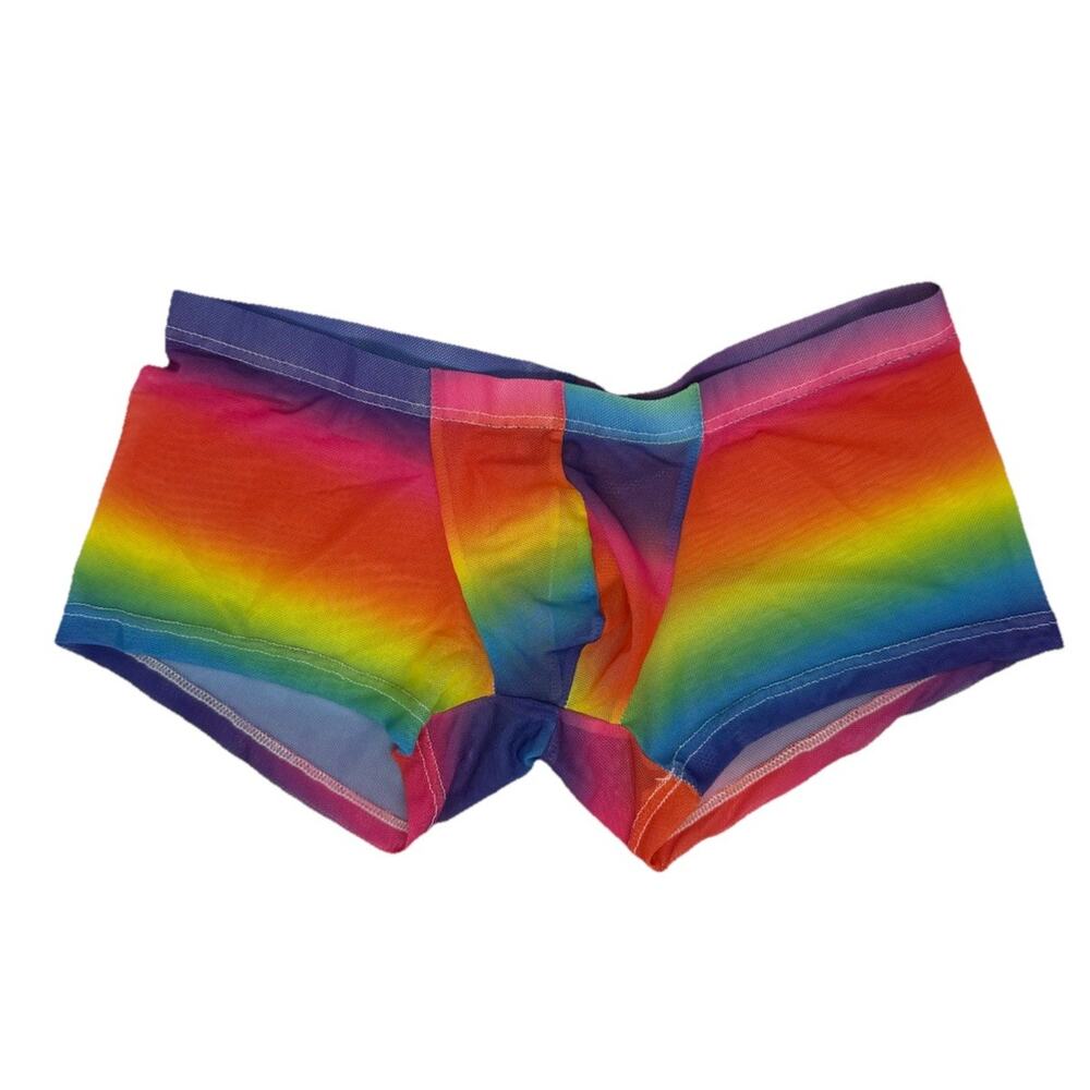 Men’s PRIDE Colors Polyester Mesh Small Boxer Briefs See Through Low Rise NWOT